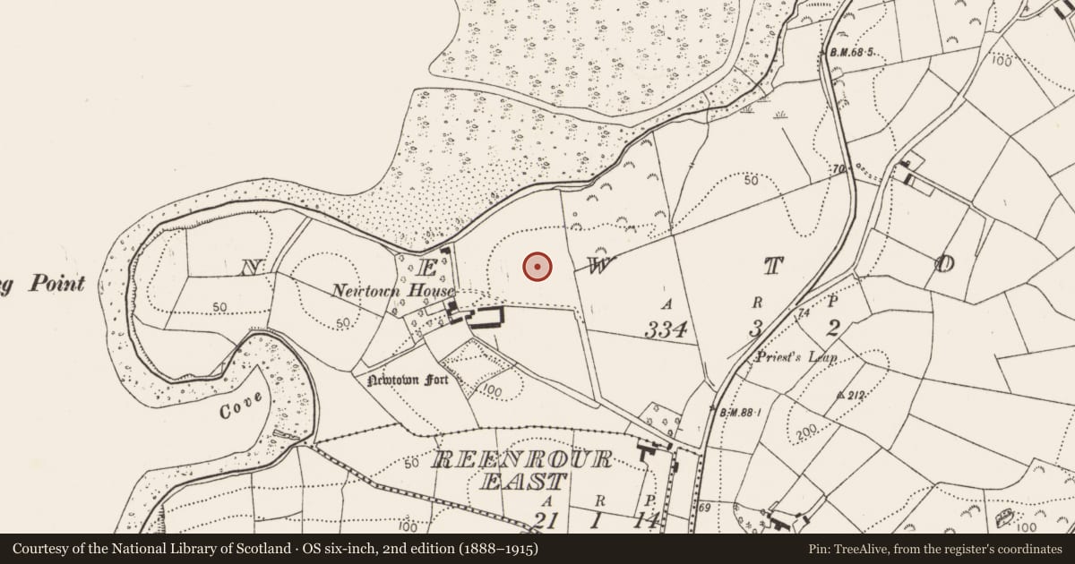 Ordnance Survey six-inch map, 2nd edition (1888–1915) covering the location of Settlement cluster, Newtown, County Cork, with a pin at the register's coordinates