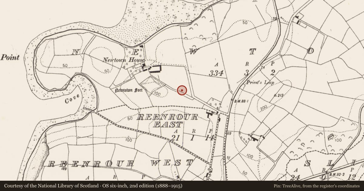 Ordnance Survey six-inch map, 2nd edition (1888–1915) covering the location of Souterrain, Newtown, County Cork, with a pin at the register's coordinates