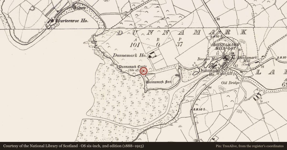 Ordnance Survey six-inch map, 2nd edition (1888–1915) covering the location of Castle - unclassified, Dunnamark, County Cork, with a pin at the register's coordinates