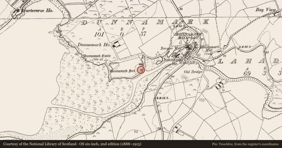 Ordnance Survey six-inch map, 2nd edition (1888–1915) covering the location of Souterrain, Dunnamark, County Cork, with a pin at the register's coordinates