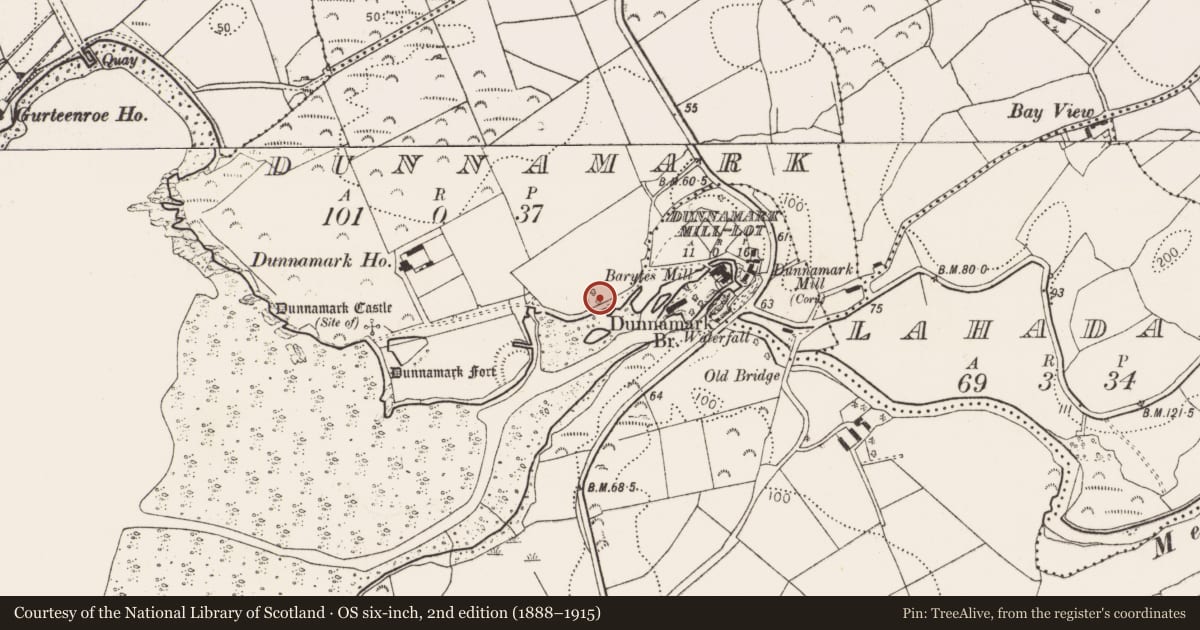 Ordnance Survey six-inch map, 2nd edition (1888–1915) covering the location of Burial ground, Dunnamark, County Cork, with a pin at the register's coordinates