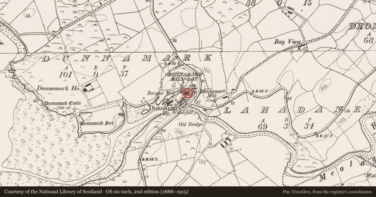 Ordnance Survey six-inch map, 2nd edition (1888–1915) covering the location of Mill - unclassified, Dunnamark Mill-Lot, County Cork, with a pin at the register's coordinates