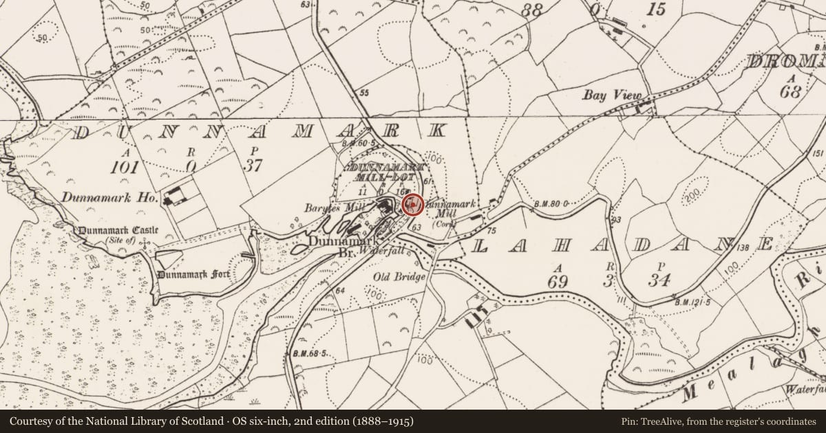 Ordnance Survey six-inch map, 2nd edition (1888–1915) covering the location of Mill - corn, Dunnamark Mill-Lot, County Cork, with a pin at the register's coordinates