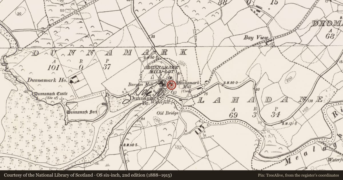 Ordnance Survey six-inch map, 2nd edition (1888–1915) covering the location of Mill - unclassified, Dunnamark Mill-Lot, County Cork, with a pin at the register's coordinates