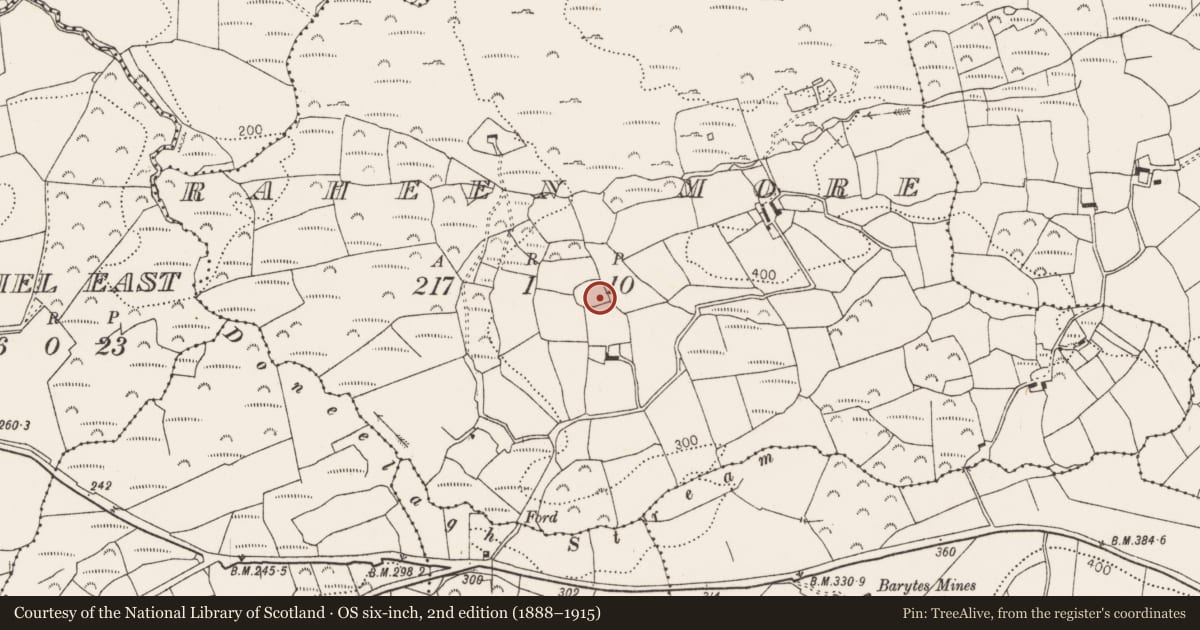 Ordnance Survey six-inch map, 2nd edition (1888–1915) covering the location of Ringfort - rath, Raheen More, County Cork, with a pin at the register's coordinates