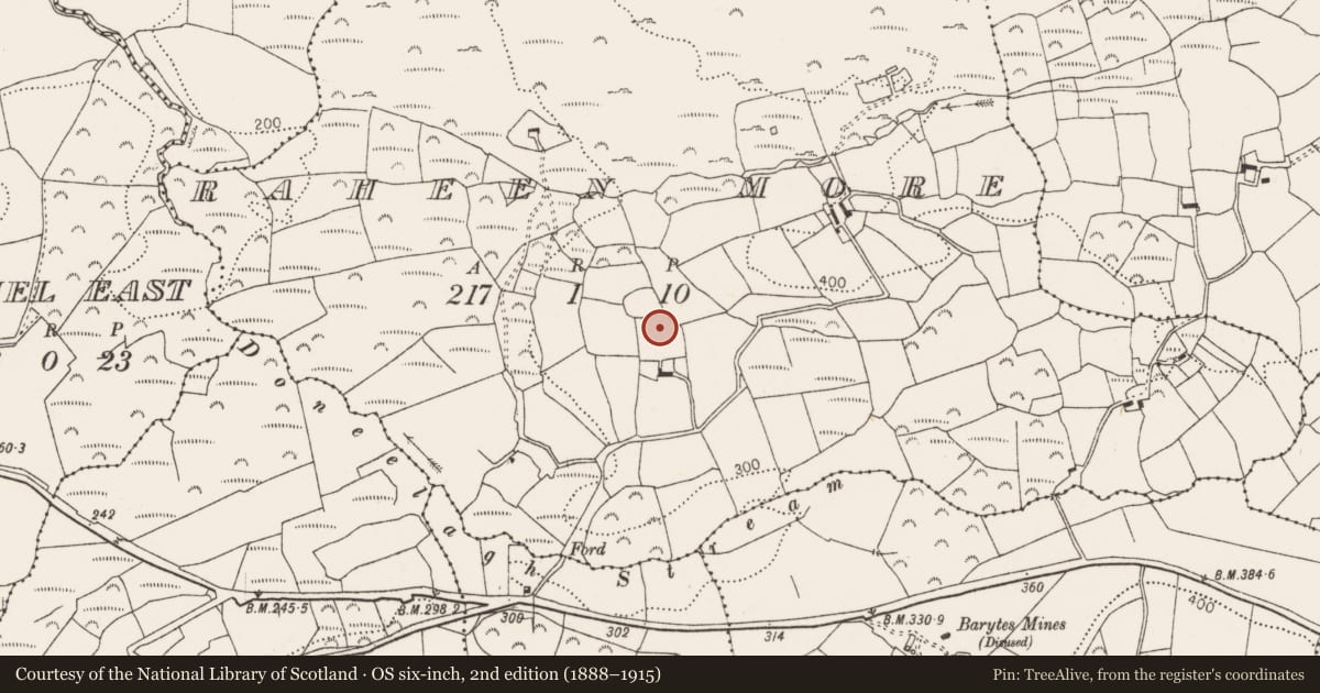 Ordnance Survey six-inch map, 2nd edition (1888–1915) covering the location of Standing stone, Raheen More, County Cork, with a pin at the register's coordinates
