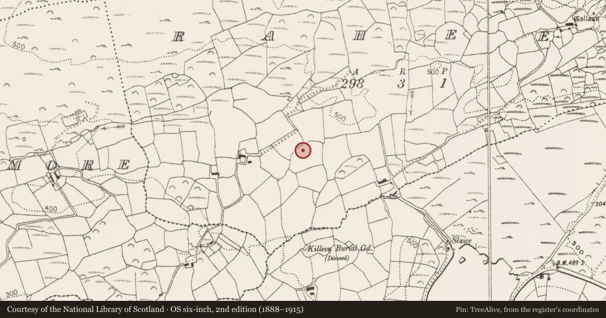 Ordnance Survey six-inch map, 2nd edition (1888–1915) covering the location of Standing stone, Raheen, County Cork, with a pin at the register's coordinates