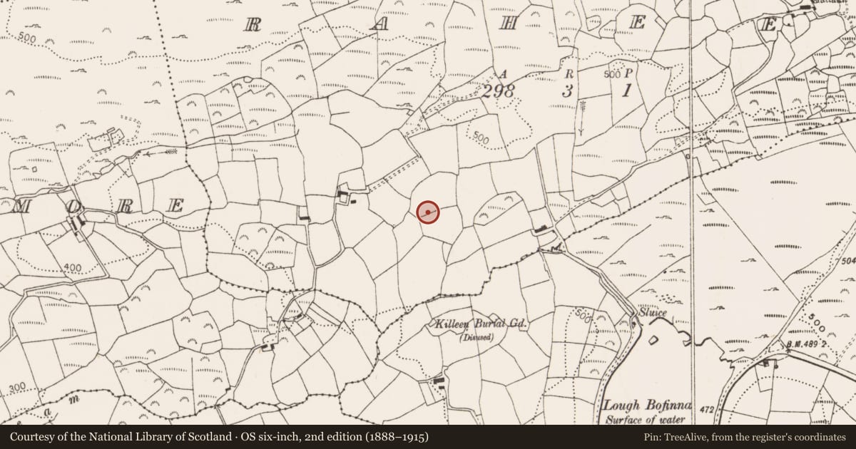 Ordnance Survey six-inch map, 2nd edition (1888–1915) covering the location of Standing stone, Raheen, County Cork, with a pin at the register's coordinates