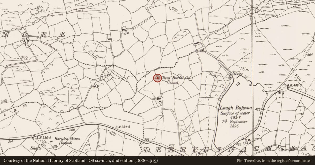 Ordnance Survey six-inch map, 2nd edition (1888–1915) covering the location of Ringfort - rath, Derryginagh East, County Cork, with a pin at the register's coordinates