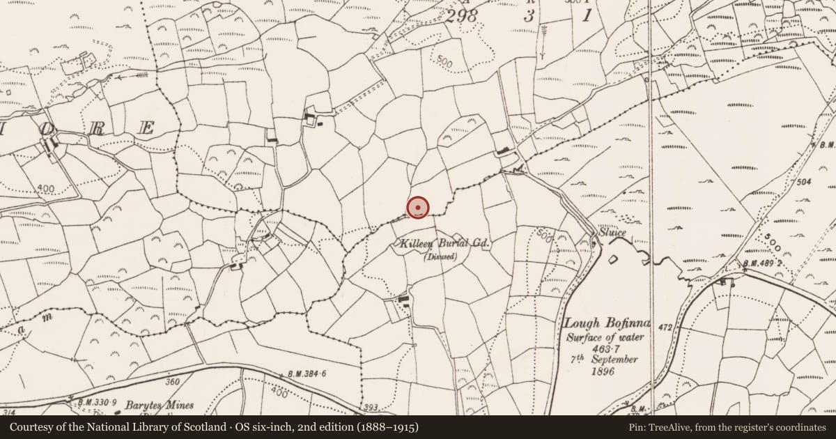 Ordnance Survey six-inch map, 2nd edition (1888–1915) covering the location of Standing stone, Raheen, County Cork, with a pin at the register's coordinates