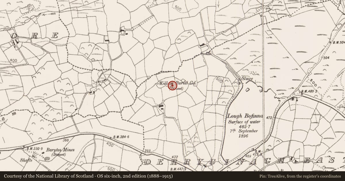 Ordnance Survey six-inch map, 2nd edition (1888–1915) covering the location of Burial ground, Derryginagh East, County Cork, with a pin at the register's coordinates