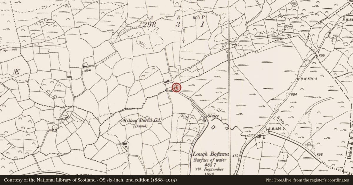 Ordnance Survey six-inch map, 2nd edition (1888–1915) covering the location of Clapper bridge, Derryginagh East, County Cork, with a pin at the register's coordinates