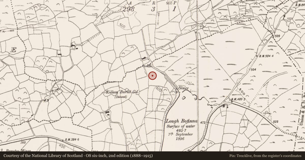 Ordnance Survey six-inch map, 2nd edition (1888–1915) covering the location of Standing stone, Derryginagh East, County Cork, with a pin at the register's coordinates