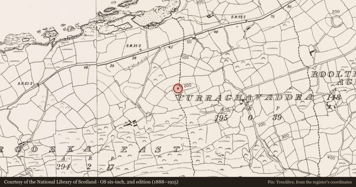 Ordnance Survey six-inch map, 2nd edition (1888–1915) covering the location of Ringfort - rath, Rooska East, County Cork, with a pin at the register's coordinates