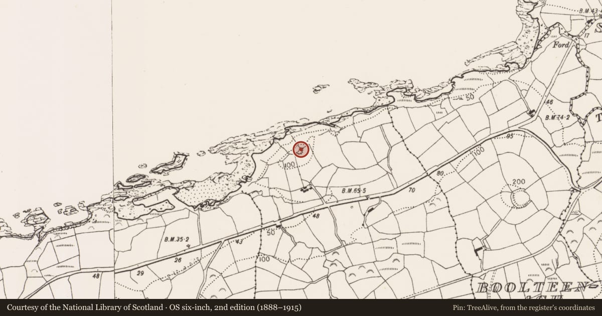 Ordnance Survey six-inch map, 2nd edition (1888–1915) covering the location of Ringfort - rath, Curraghavaddra, County Cork, with a pin at the register's coordinates