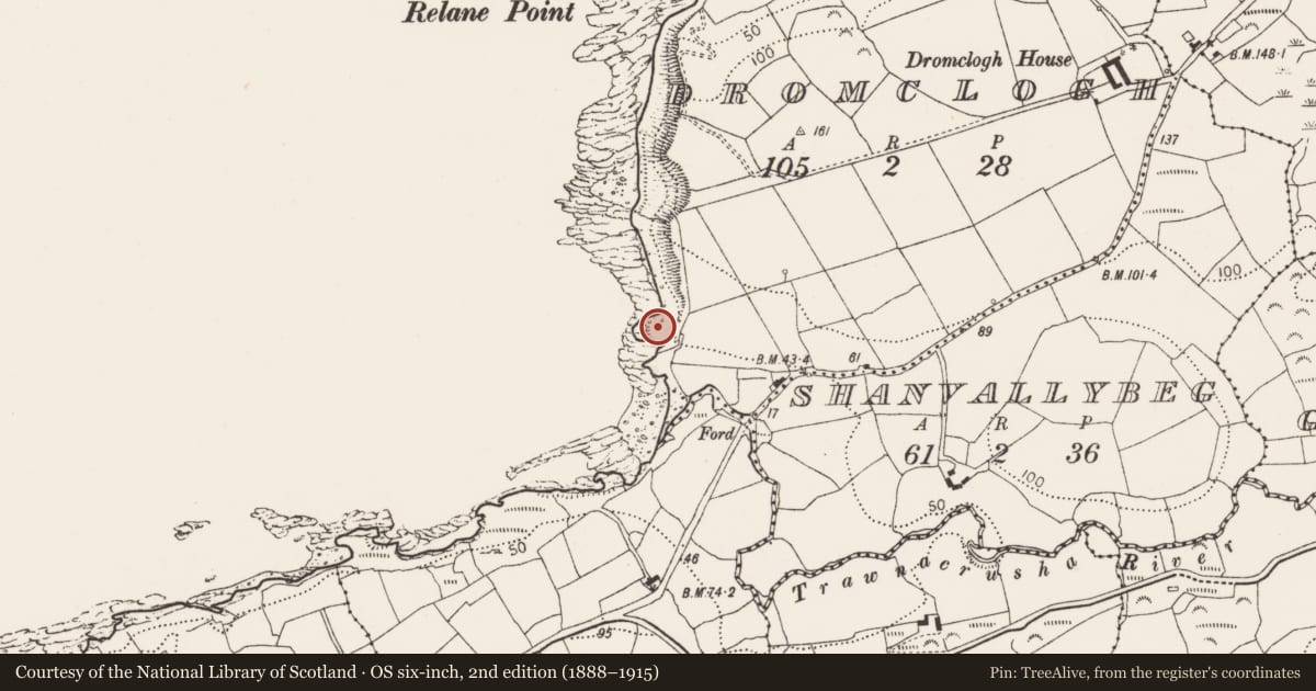 Ordnance Survey six-inch map, 2nd edition (1888–1915) covering the location of Promontory fort - coastal, Dromclogh, County Cork, with a pin at the register's coordinates