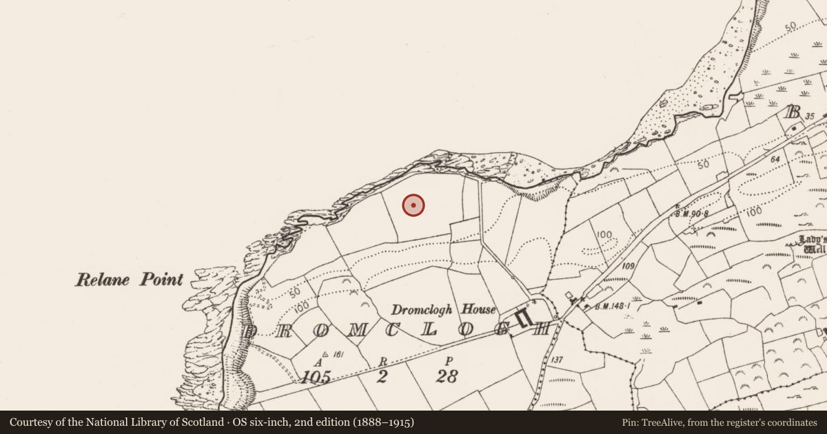 Ordnance Survey six-inch map, 2nd edition (1888–1915) covering the location of Standing stone, Dromclogh, County Cork, with a pin at the register's coordinates