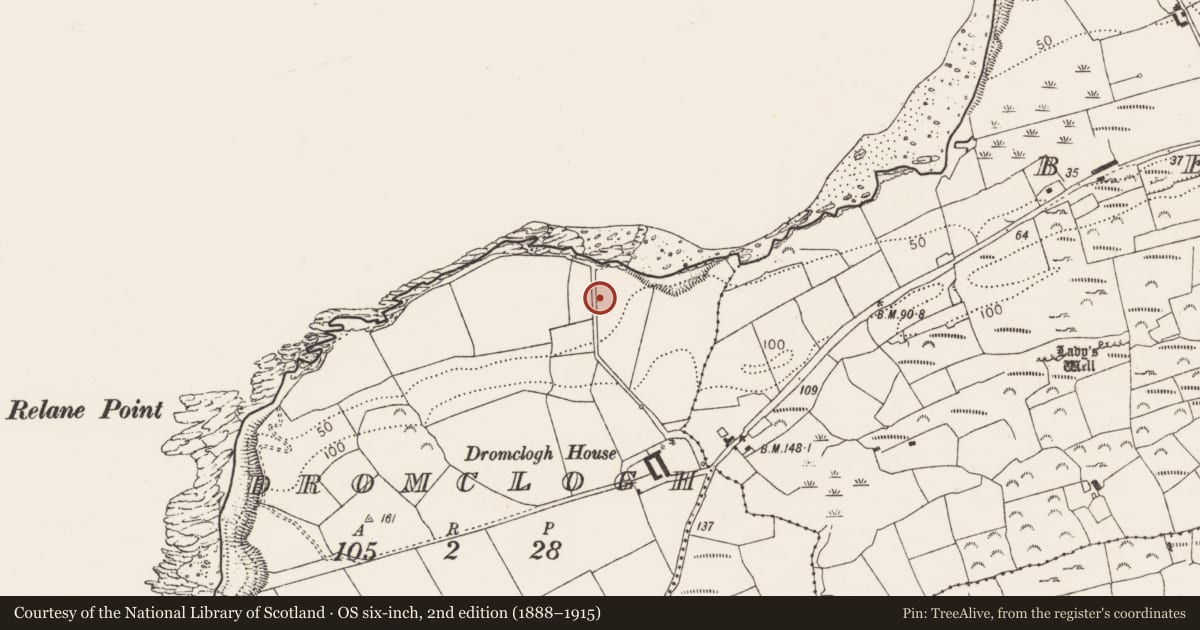Ordnance Survey six-inch map, 2nd edition (1888–1915) covering the location of Fulacht fia, Dromclogh, County Cork, with a pin at the register's coordinates