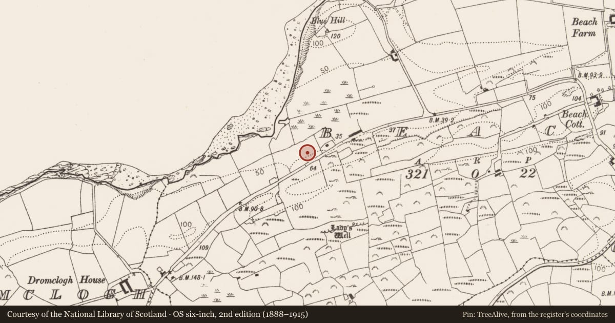 Ordnance Survey six-inch map, 2nd edition (1888–1915) covering the location of Standing stone, Beach, County Cork, with a pin at the register's coordinates