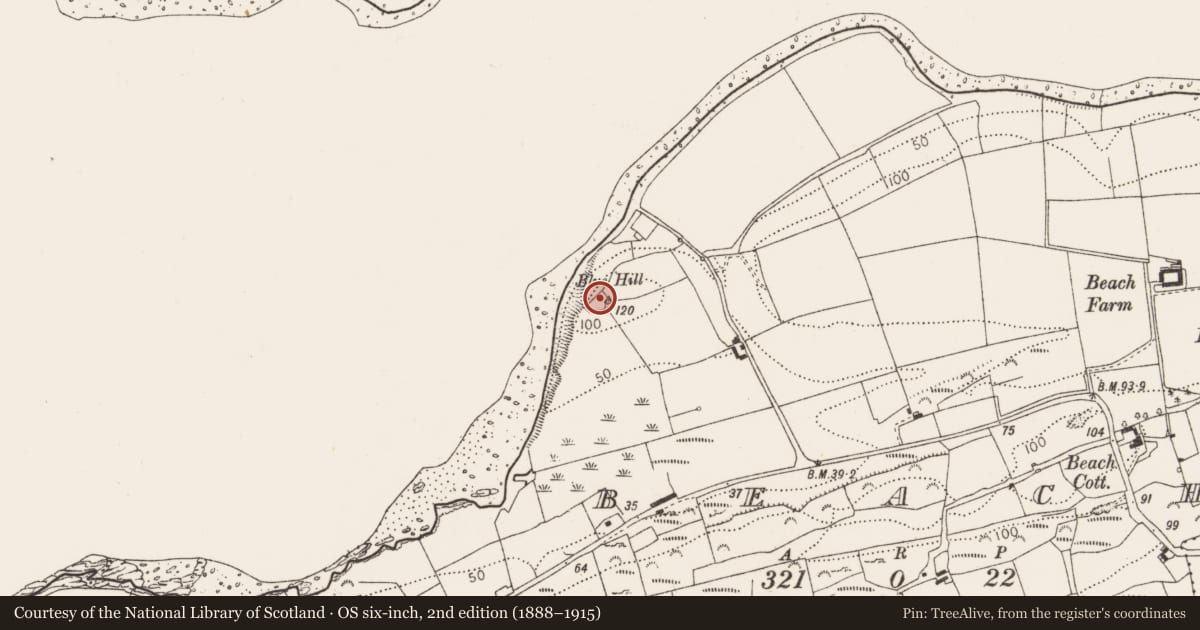 Ordnance Survey six-inch map, 2nd edition (1888–1915) covering the location of Ringfort - rath, Beach, County Cork, with a pin at the register's coordinates