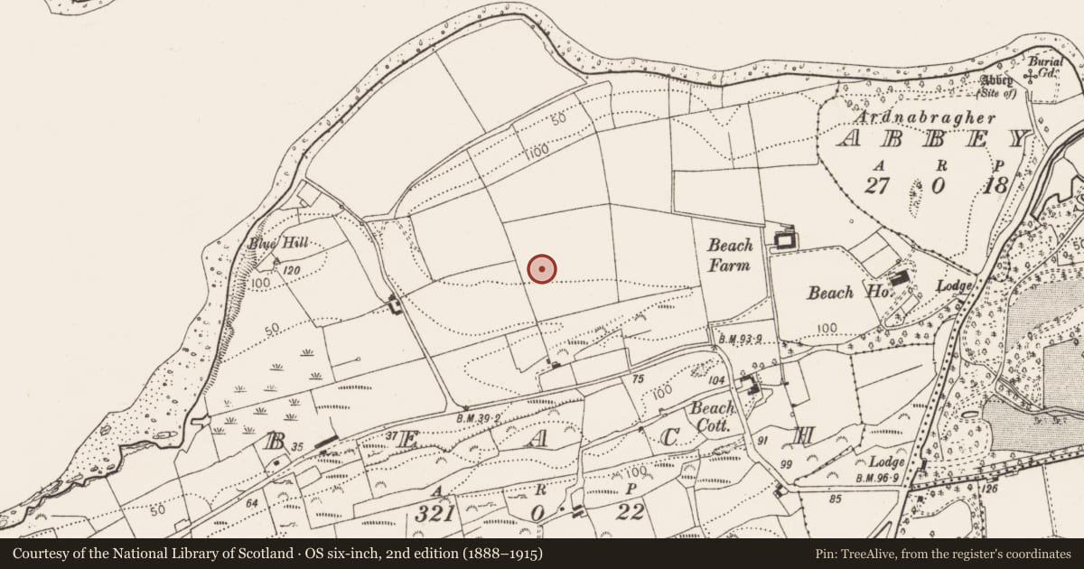 Ordnance Survey six-inch map, 2nd edition (1888–1915) covering the location of Designed landscape feature, Beach, County Cork, with a pin at the register's coordinates
