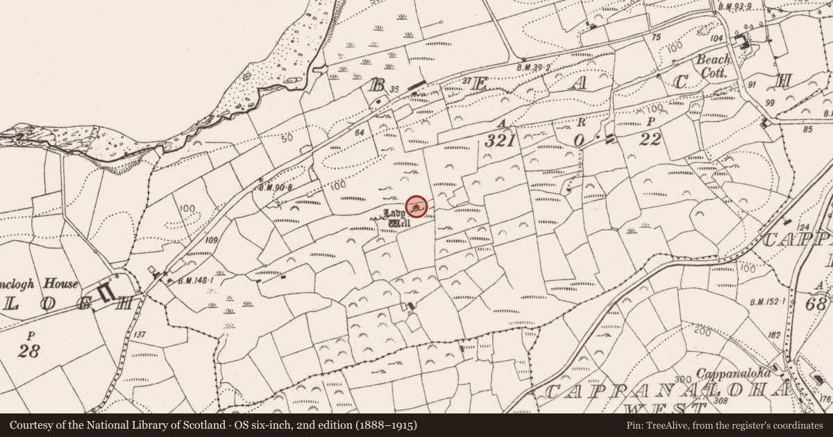 Ordnance Survey six-inch map, 2nd edition (1888–1915) covering the location of Mass-rock, Beach, County Cork, with a pin at the register's coordinates