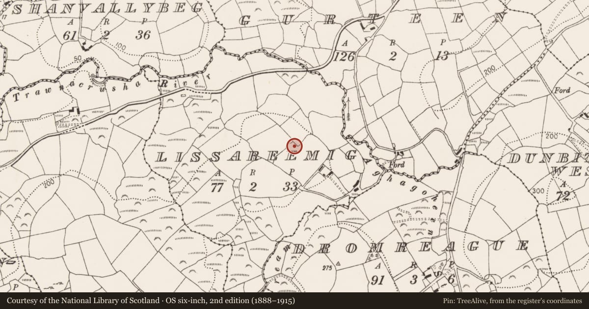 Ordnance Survey six-inch map, 2nd edition (1888–1915) covering the location of Ringfort - rath, Lissareemig, County Cork, with a pin at the register's coordinates