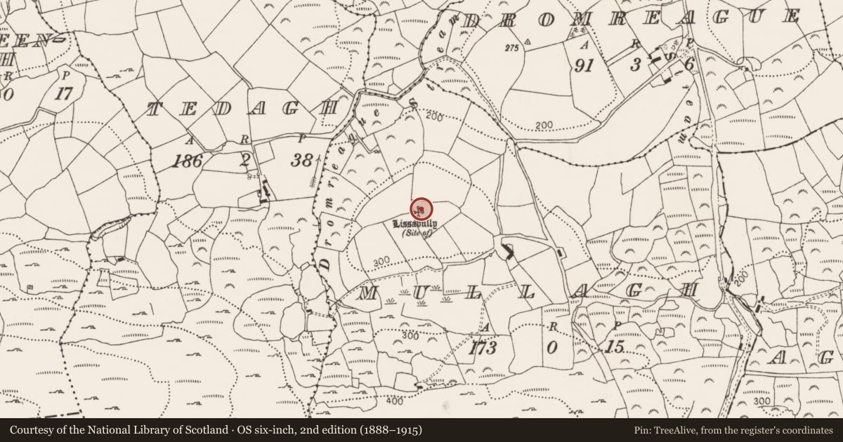 Ordnance Survey six-inch map, 2nd edition (1888–1915) covering the location of Souterrain, Mullagh, County Cork, with a pin at the register's coordinates