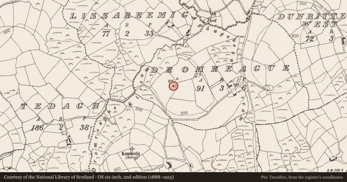 Ordnance Survey six-inch map, 2nd edition (1888–1915) covering the location of Standing stone, An Droim Réidh, County Cork, with a pin at the register's coordinates