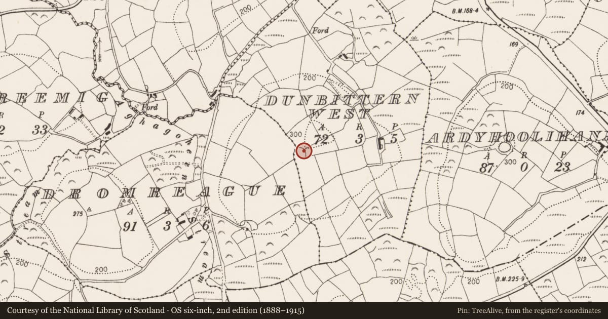 Ordnance Survey six-inch map, 2nd edition (1888–1915) covering the location of Ringfort - rath, Dunbittern West, County Cork, with a pin at the register's coordinates