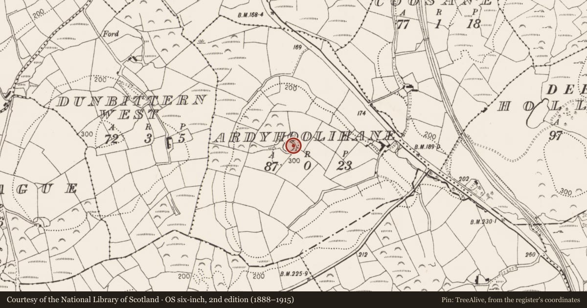 Ordnance Survey six-inch map, 2nd edition (1888–1915) covering the location of Ringfort - rath, Ardyhoolihane, County Cork, with a pin at the register's coordinates
