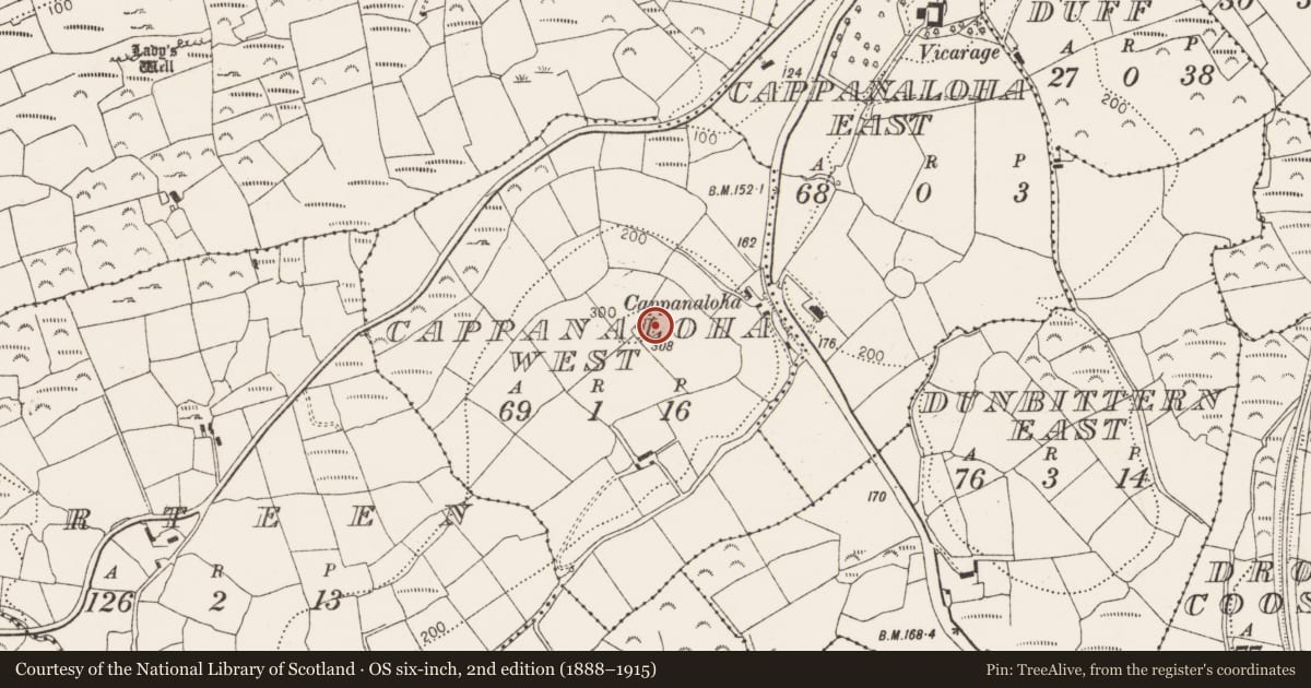 Ordnance Survey six-inch map, 2nd edition (1888–1915) covering the location of Ringfort - rath, Cappanaloha West, County Cork, with a pin at the register's coordinates