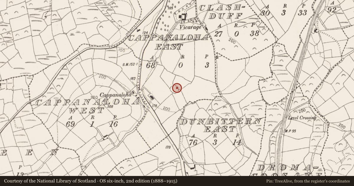 Ordnance Survey six-inch map, 2nd edition (1888–1915) covering the location of Ringfort - rath, Cappanaloha East, County Cork, with a pin at the register's coordinates