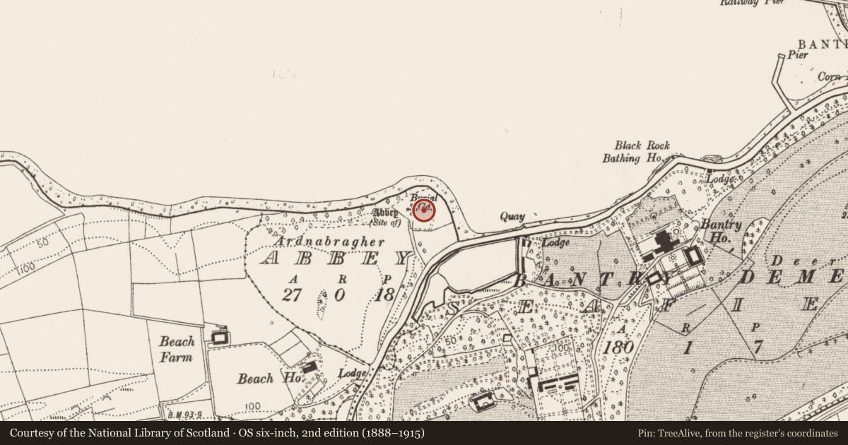 Ordnance Survey six-inch map, 2nd edition (1888–1915) covering the location of Burial ground, Abbey, County Cork, with a pin at the register's coordinates