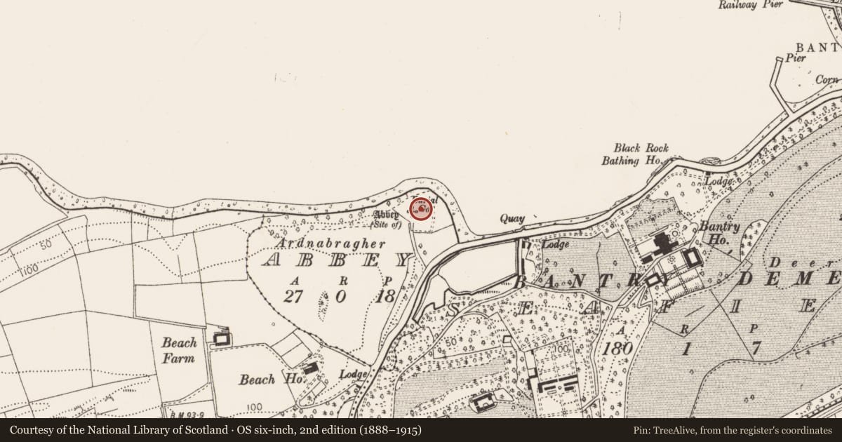 Ordnance Survey six-inch map, 2nd edition (1888–1915) covering the location of Religious house - Franciscan friars, Abbey, County Cork, with a pin at the register's coordinates