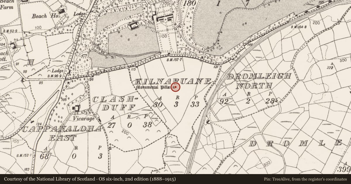Ordnance Survey six-inch map, 2nd edition (1888–1915) covering the location of Cross, Kilnaruane, County Cork, with a pin at the register's coordinates