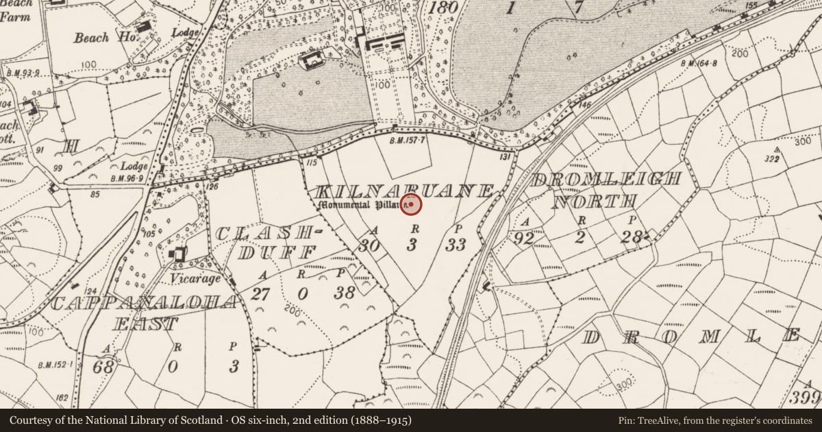 Ordnance Survey six-inch map, 2nd edition (1888–1915) covering the location of Bullaun stone, Kilnaruane, County Cork, with a pin at the register's coordinates