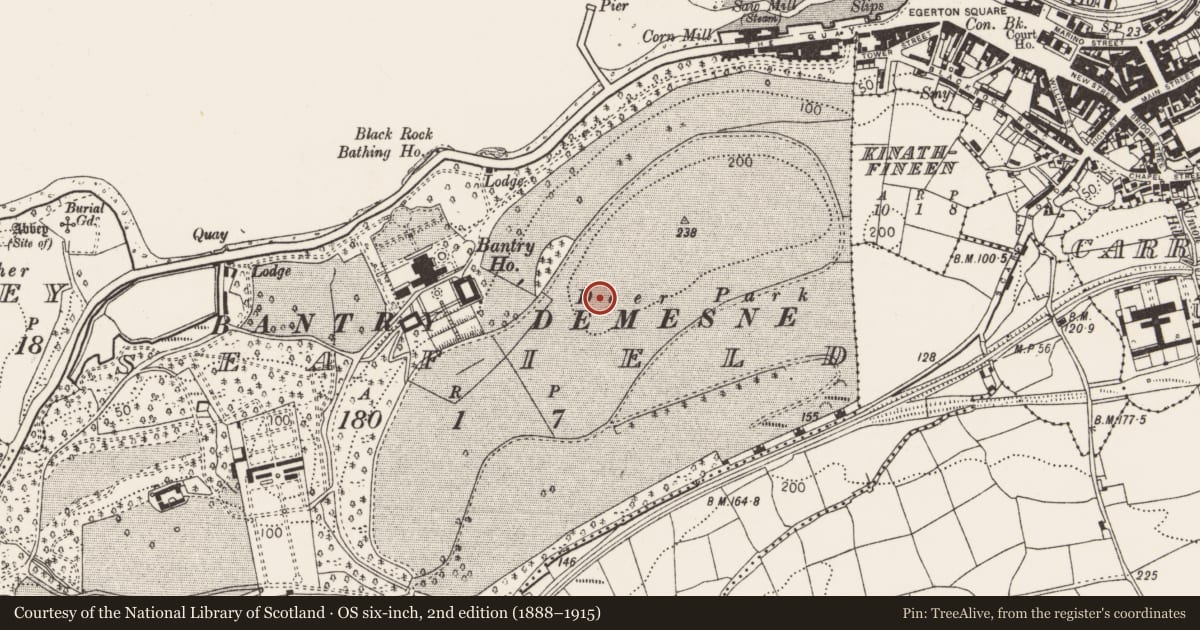 Ordnance Survey six-inch map, 2nd edition (1888–1915) covering the location of Ringfort - rath, Seafield, County Cork, with a pin at the register's coordinates