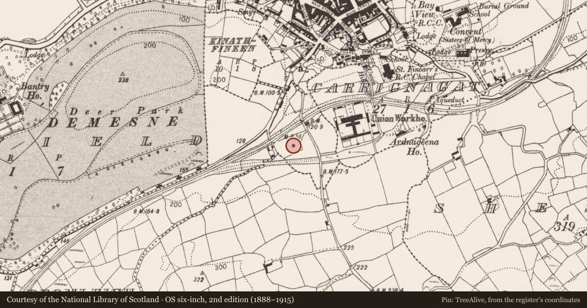 Ordnance Survey six-inch map, 2nd edition (1888–1915) covering the location of Burial ground, Dromleigh North, County Cork, with a pin at the register's coordinates