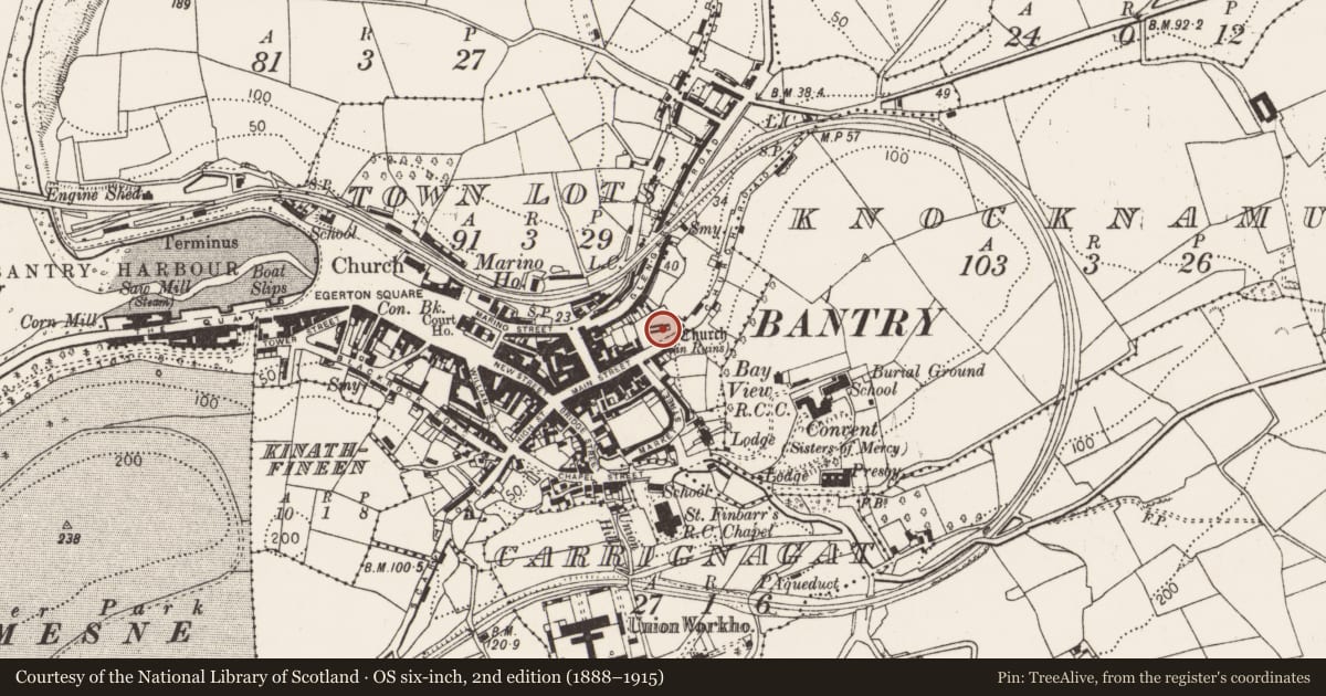 Ordnance Survey six-inch map, 2nd edition (1888–1915) covering the location of Church, Townlots, County Cork, with a pin at the register's coordinates