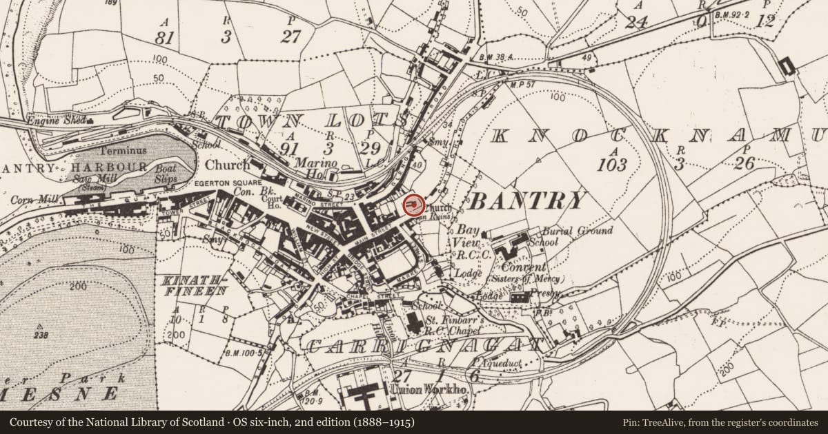 Ordnance Survey six-inch map, 2nd edition (1888–1915) covering the location of Graveyard, Townlots, County Cork, with a pin at the register's coordinates