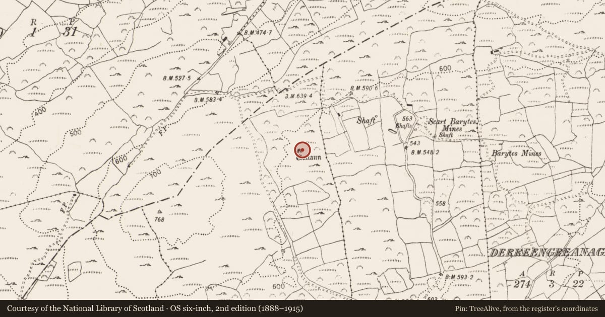 Ordnance Survey six-inch map, 2nd edition (1888–1915) covering the location of Standing stone, Scartbaun, County Cork, with a pin at the register's coordinates