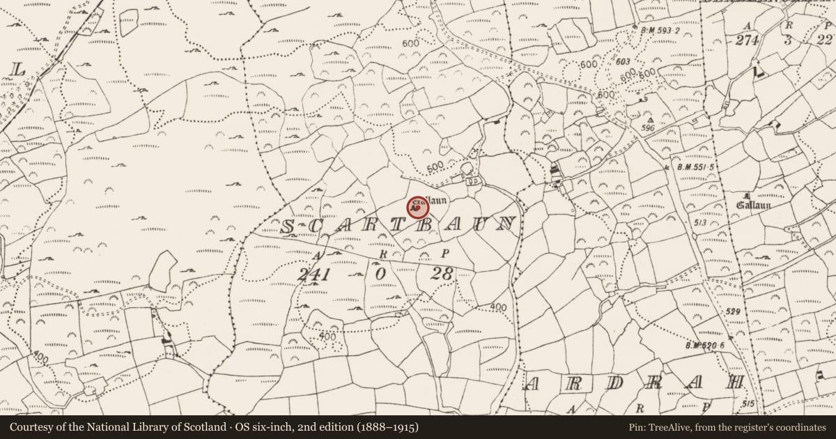 Ordnance Survey six-inch map, 2nd edition (1888–1915) covering the location of Stone row, Scartbaun, County Cork, with a pin at the register's coordinates