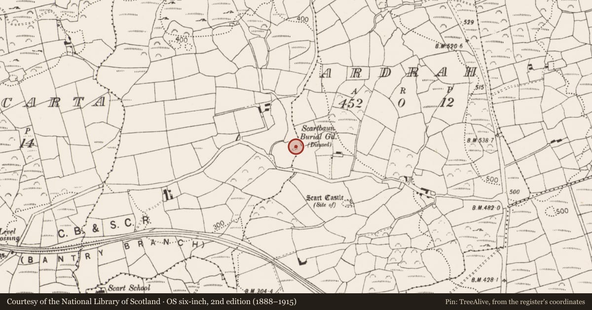 Ordnance Survey six-inch map, 2nd edition (1888–1915) covering the location of Standing stone, Scartbaun, County Cork, with a pin at the register's coordinates