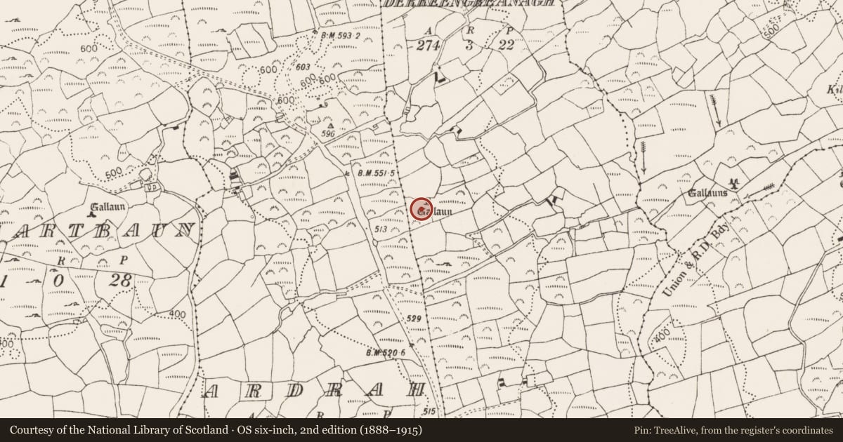 Ordnance Survey six-inch map, 2nd edition (1888–1915) covering the location of Anomalous stone group, Derreengreanagh, Scartbaun, County Cork, with a pin at the register's coordinates