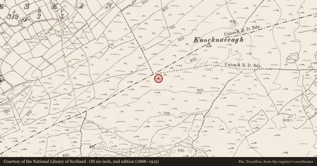 Ordnance Survey six-inch map, 2nd edition (1888–1915) covering the location of Megalithic tomb - wedge tomb, Derreengreanagh, Scartbaun, County Cork, with a pin at the register's coordinates