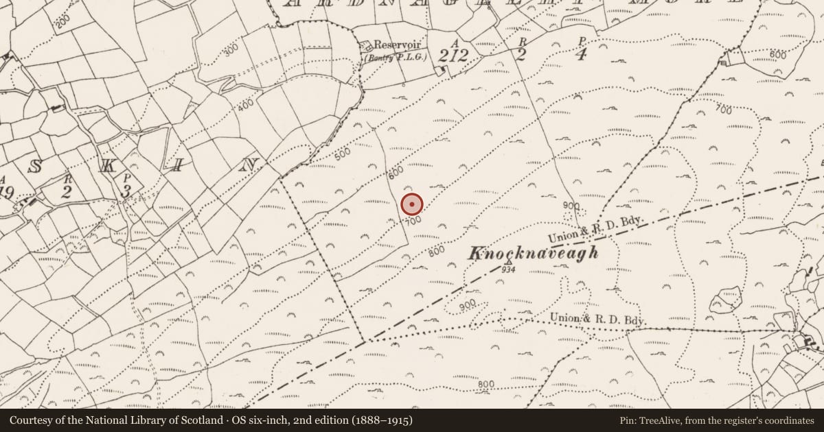 Ordnance Survey six-inch map, 2nd edition (1888–1915) covering the location of Standing stone, Ardnageehy More, County Cork, with a pin at the register's coordinates