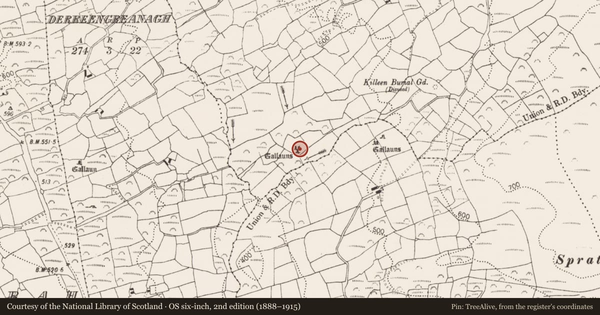 Ordnance Survey six-inch map, 2nd edition (1888–1915) covering the location of Stone circle - five-stone, Baurgorm, County Cork, with a pin at the register's coordinates