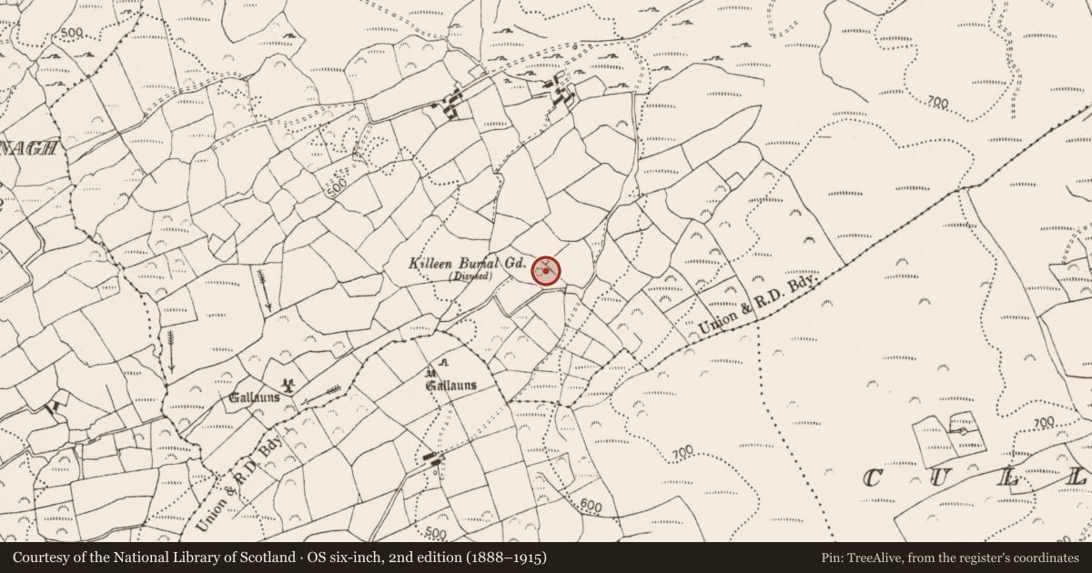 Ordnance Survey six-inch map, 2nd edition (1888–1915) covering the location of Burial ground, Baurgorm, County Cork, with a pin at the register's coordinates