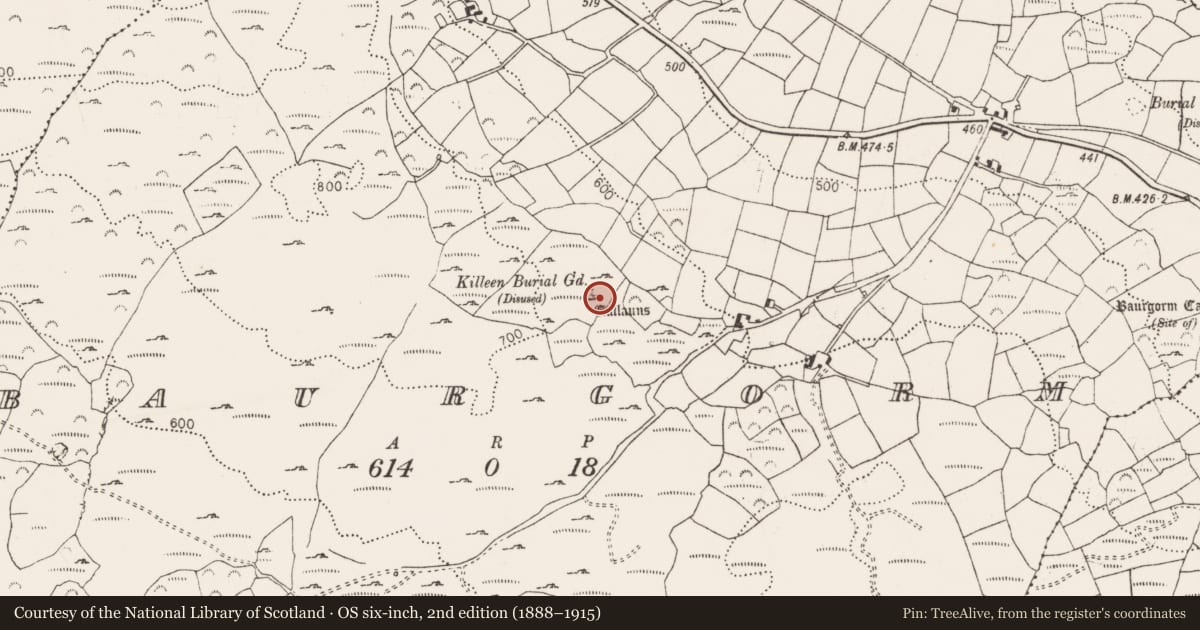 Ordnance Survey six-inch map, 2nd edition (1888–1915) covering the location of Standing stone - pair, Baurgorm, County Cork, with a pin at the register's coordinates